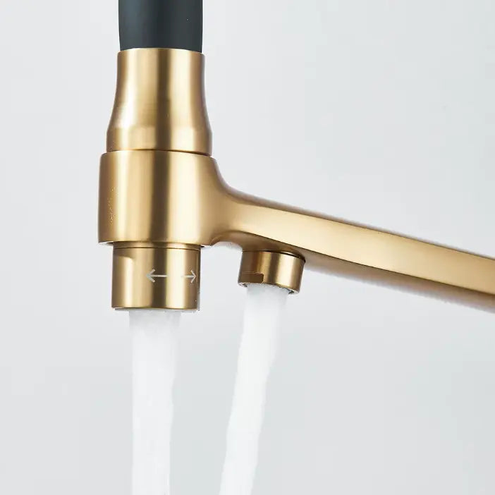 Robinet de Cuisine Douchette en Laiton