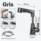 Mitigeur de lavabo avec douchette extractible et bec pivotant