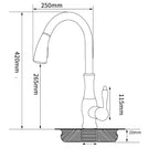Robinet de Cuisine Douchette en Laiton